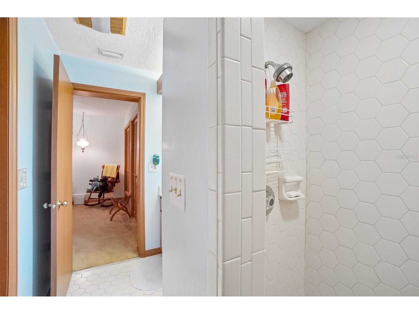 1168 Eniswood Parkway Palm Harbor FL 34683 TB8512884 image17