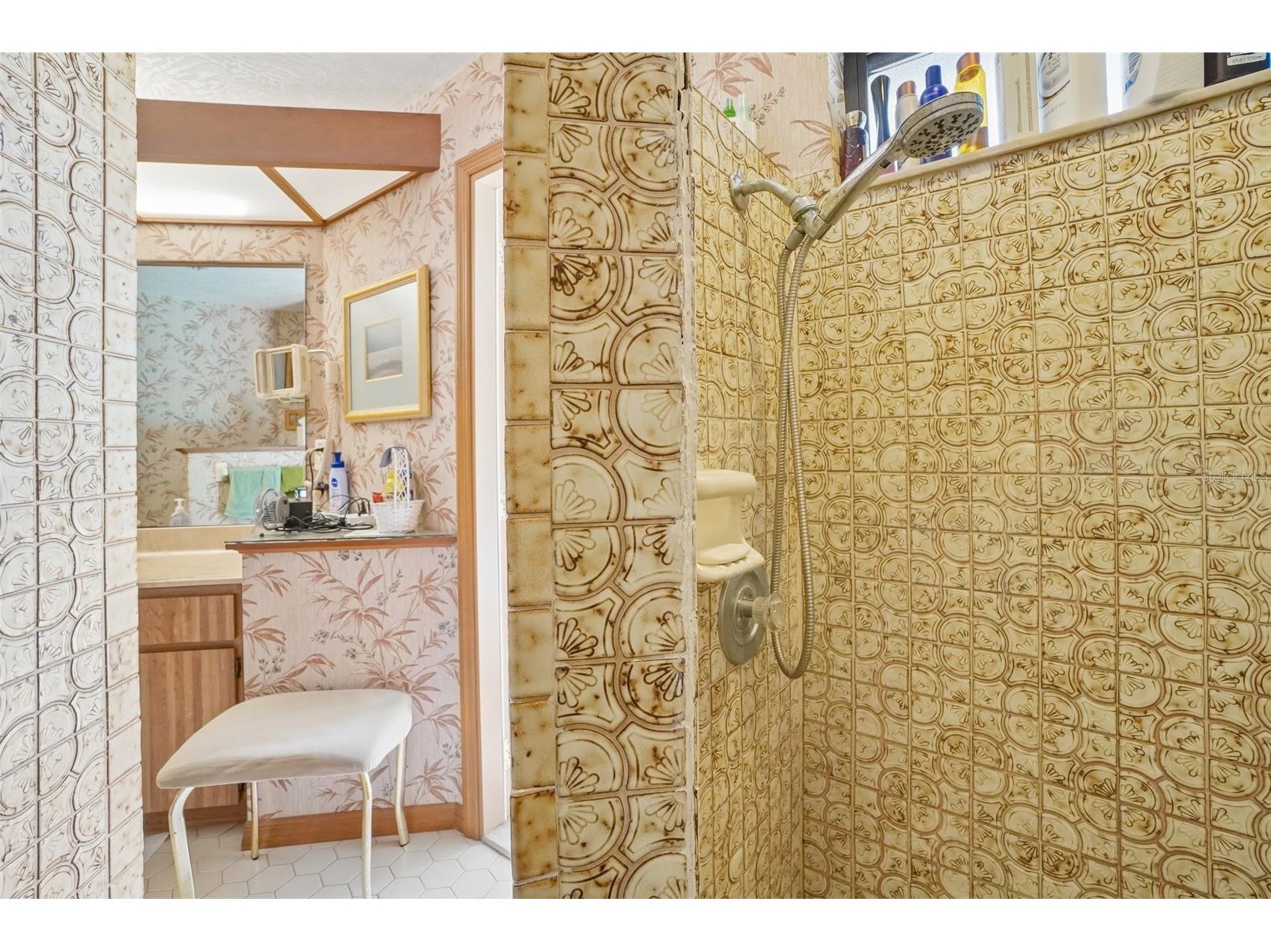 1168 Eniswood Parkway Palm Harbor FL 34683 TB8512884 image25
