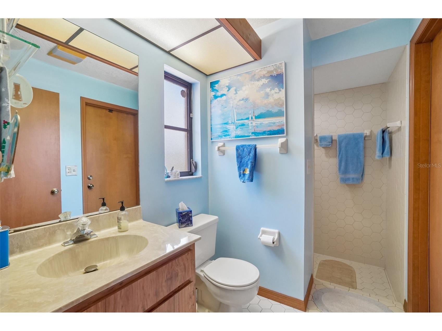 1168 Eniswood Parkway Palm Harbor FL 34683 TB8512884 image28