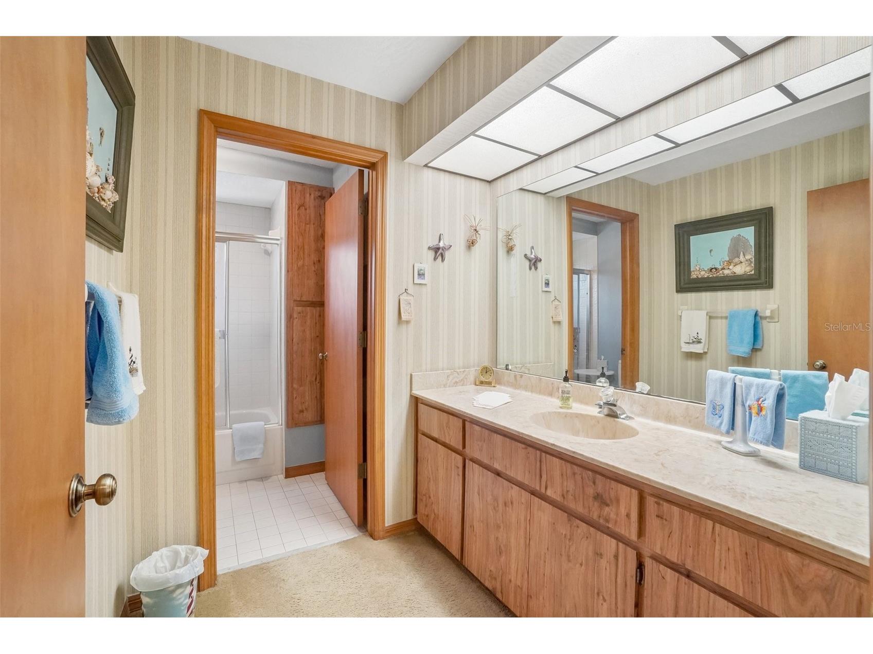 1168 Eniswood Parkway Palm Harbor FL 34683 TB8512884 image30