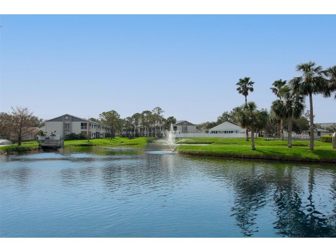 11680 Shipwatch Drive #1454 Largo FL 33774 TB8353624 image1