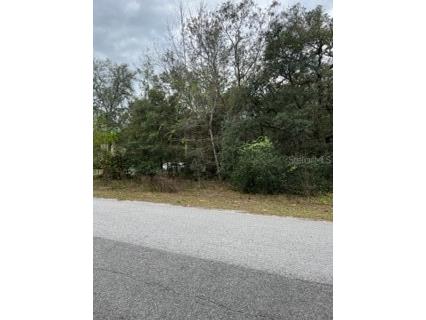 11680 W Cornflower Drive Crystal River FL 34428 U8184751 image1