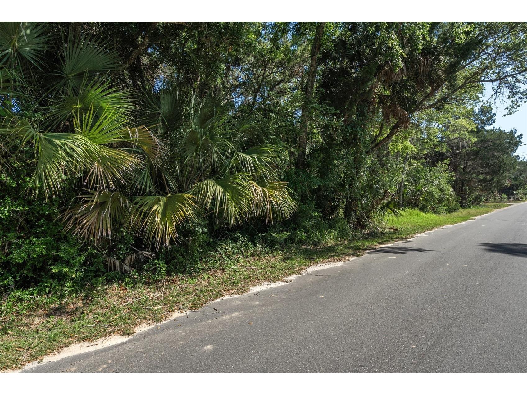 11681 W North Place Homosassa FL 34448 OM682605 image3