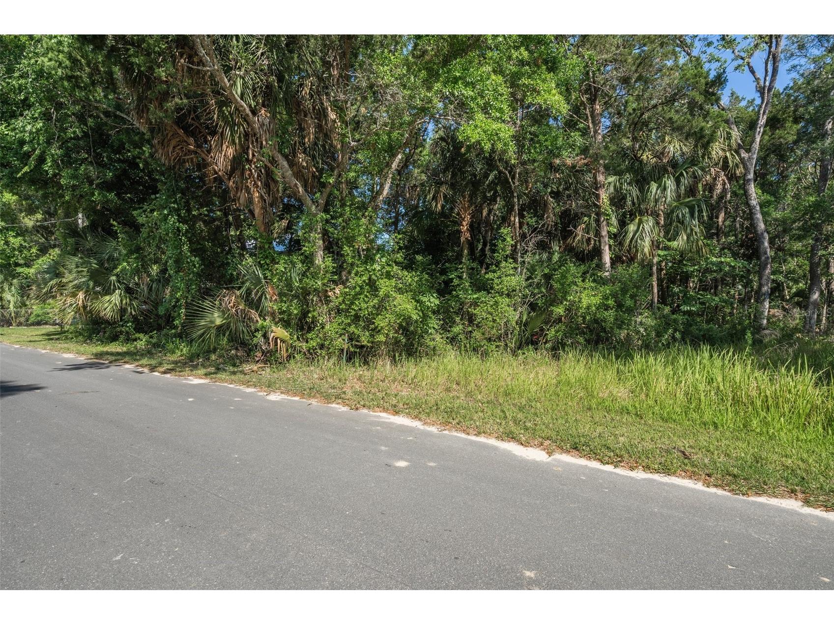 11681 W North Place Homosassa FL 34448 OM682605 image4