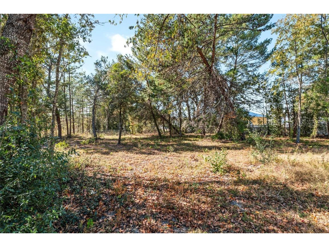 11684 SW 56th Terrace Ocala FL 34476 TB8450072 image71