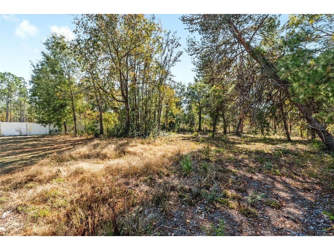 11684 SW 56th Terrace Ocala FL 34476 TB8450072 image73