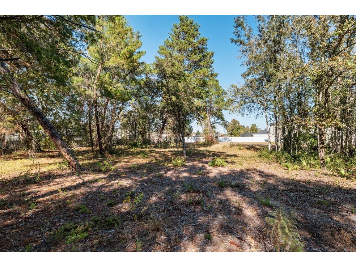 11684 SW 56th Terrace Ocala FL 34476 TB8450072 image74