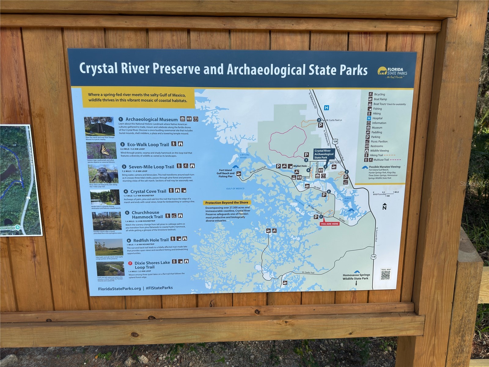 11684 W Sunnybrook Court Crystal River FL 34429 G5079074 image27