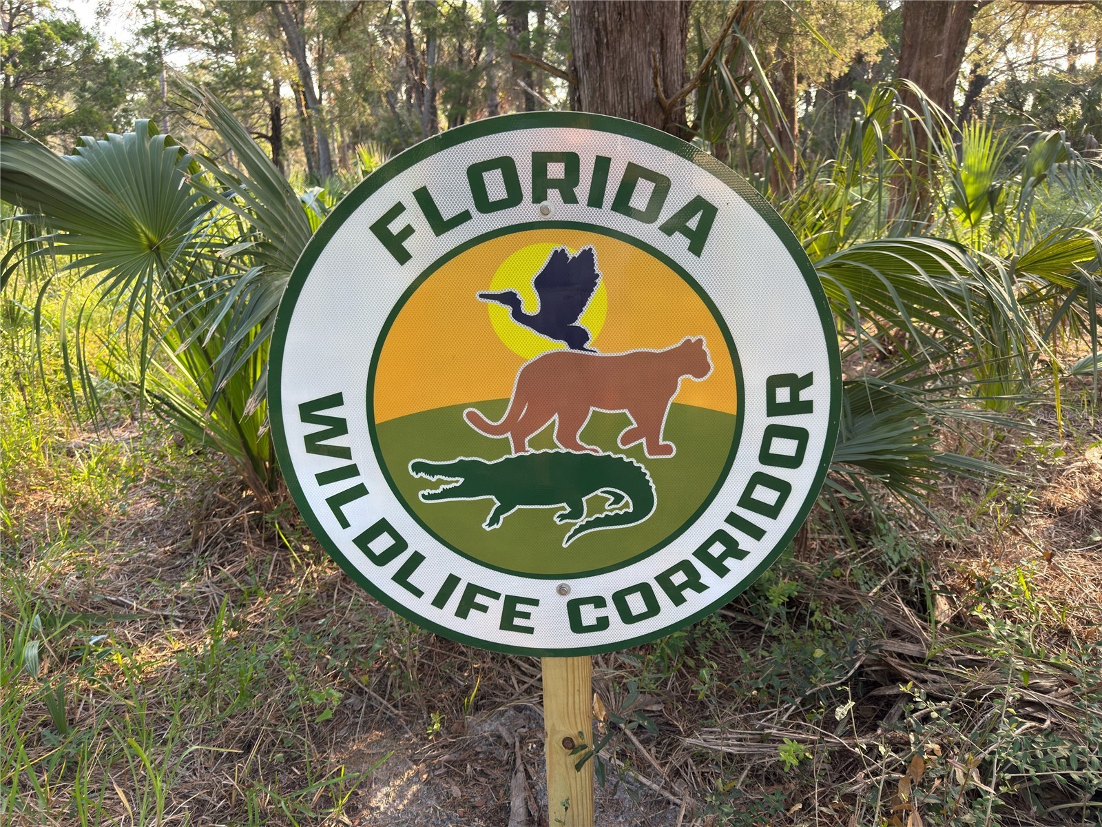 11684 W Sunnybrook Court Crystal River FL 34429 G5079074 image30