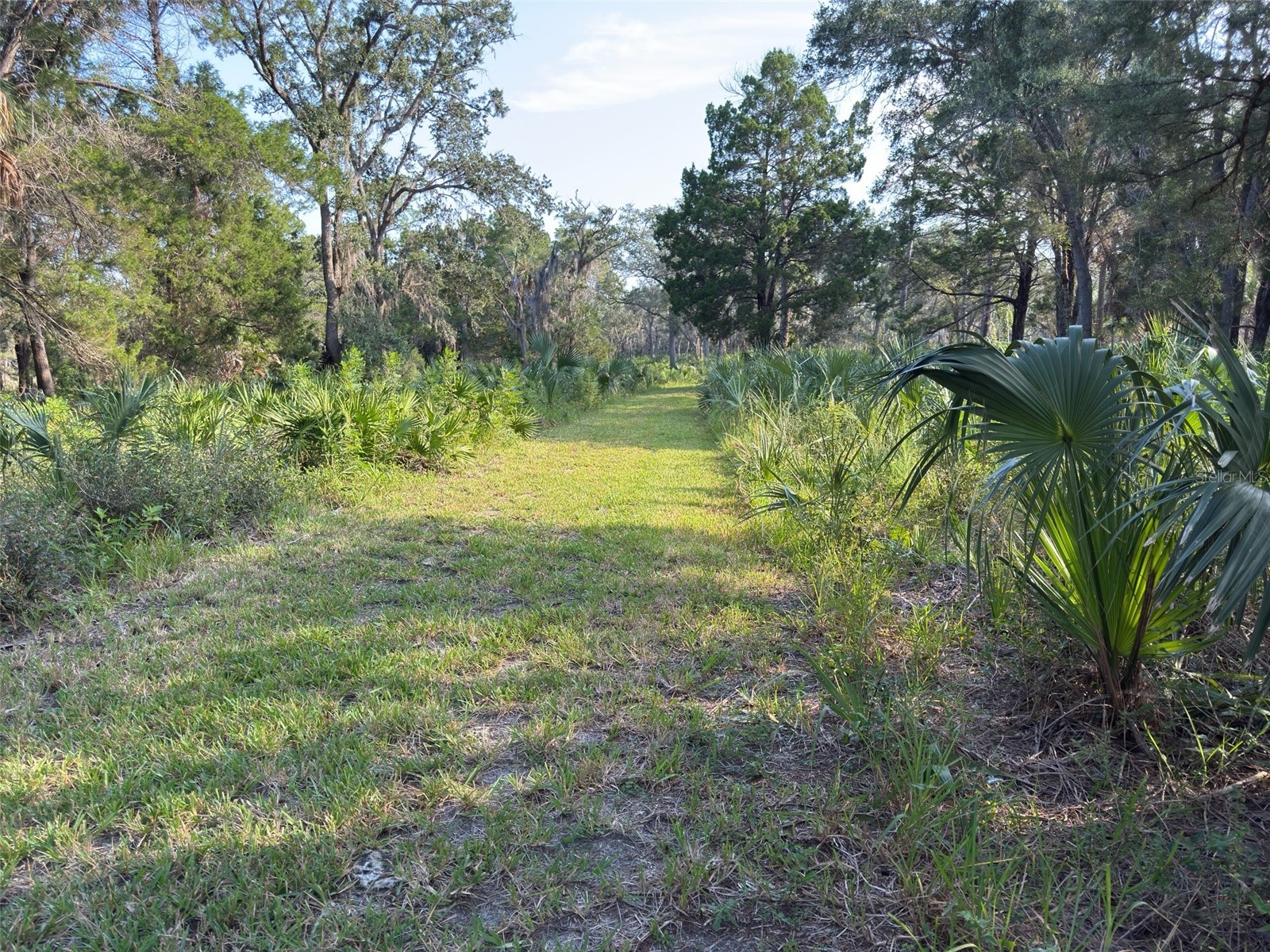 11684 W Sunnybrook Court Crystal River FL 34429 G5079074 image31