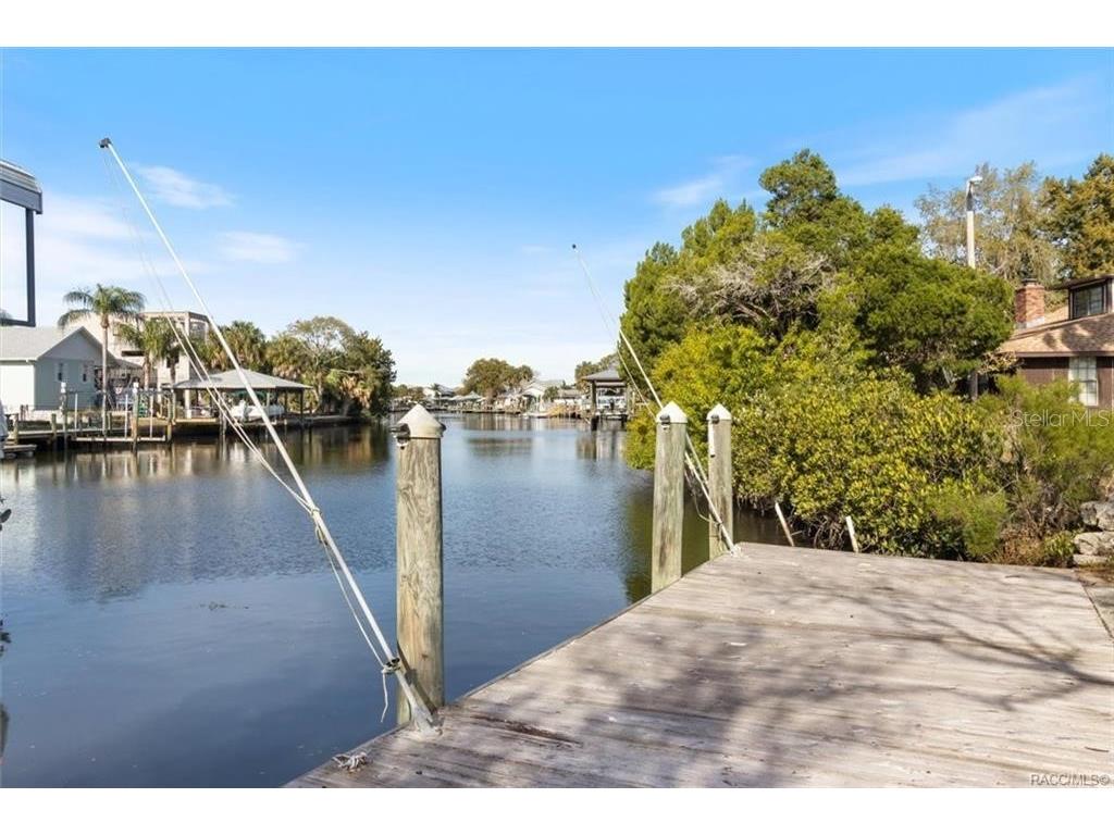 11684 W Sunnybrook Court Crystal River FL 34429 G5079074 image5