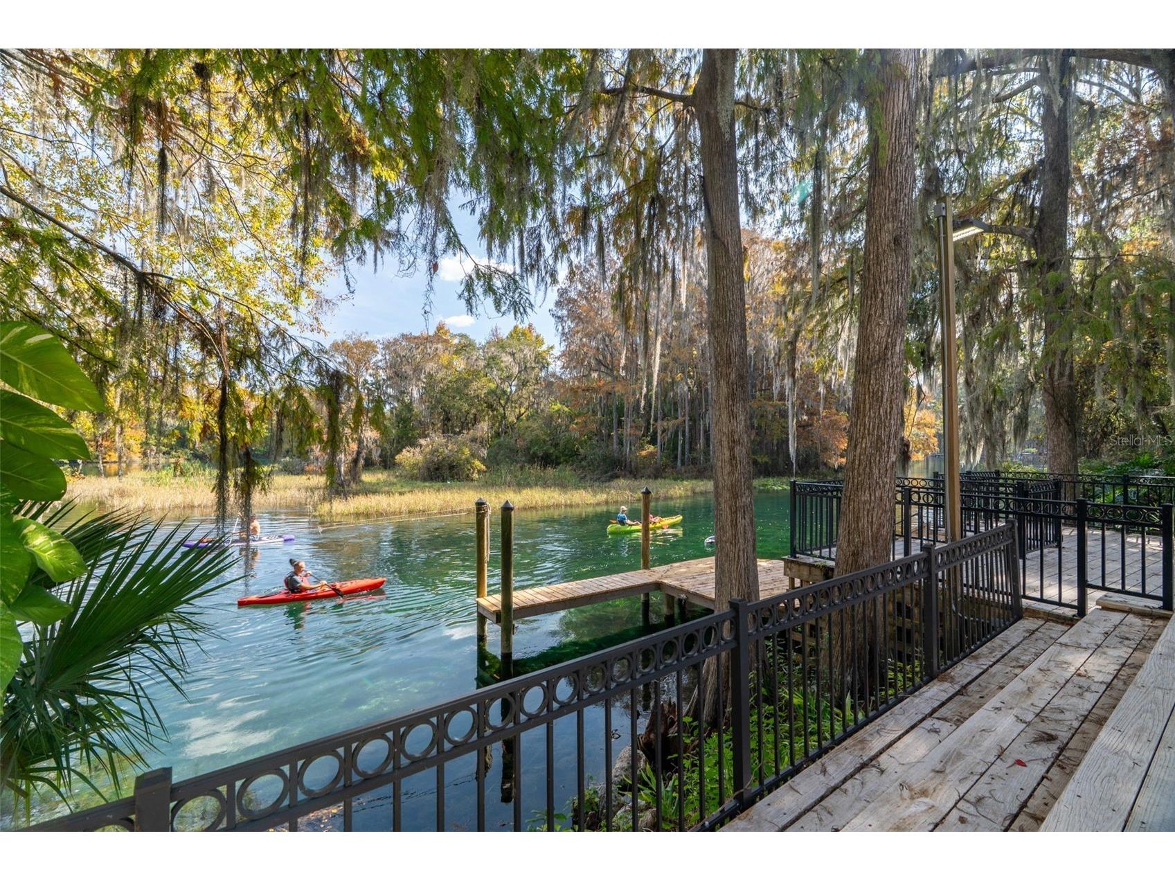11685 E Blue Cove Drive Dunnellon FL 34432 - RAINBOW RIVER OM715071 image1