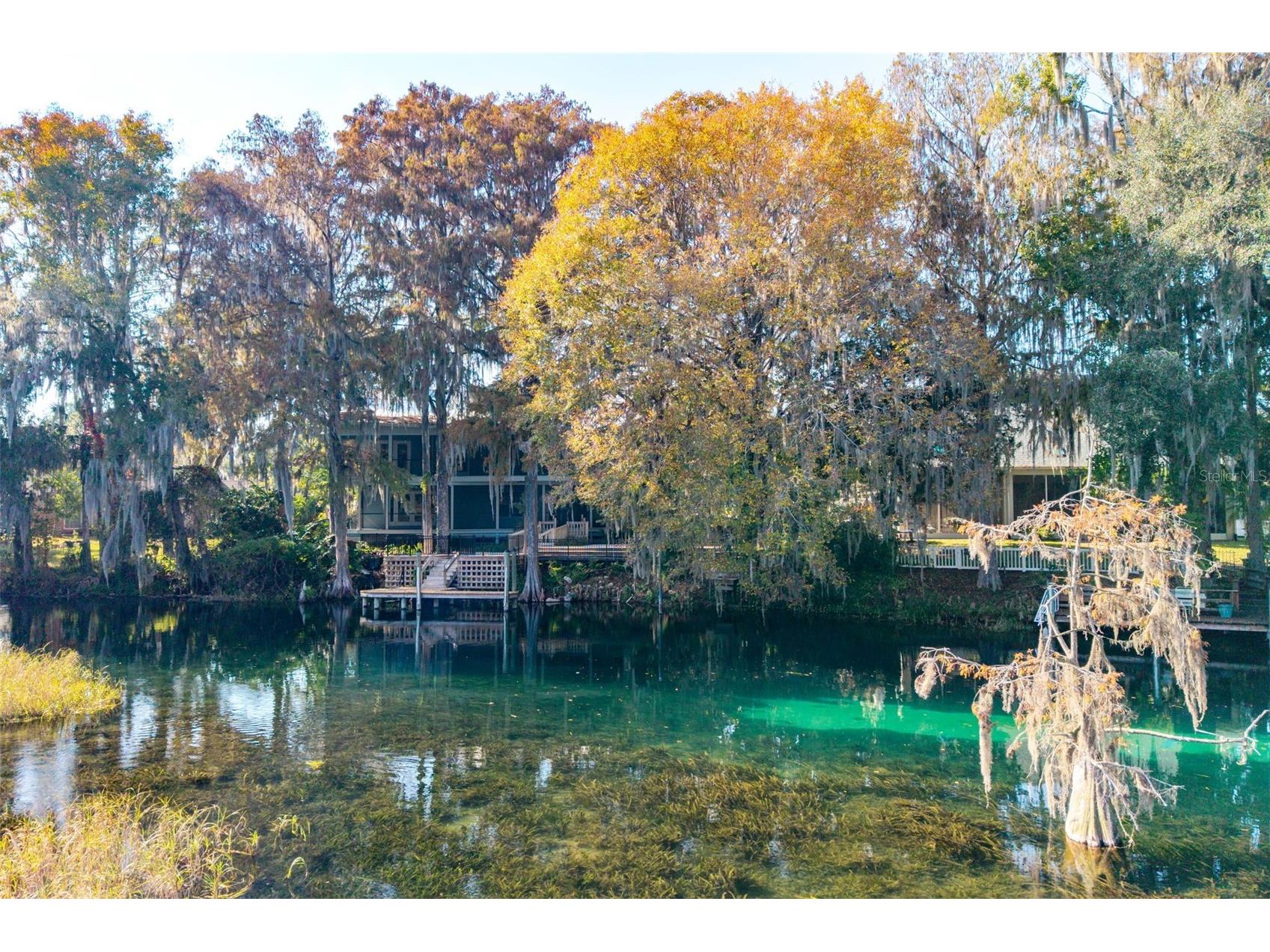 11685 E Blue Cove Drive Dunnellon FL 34432 - RAINBOW RIVER OM715071 image13