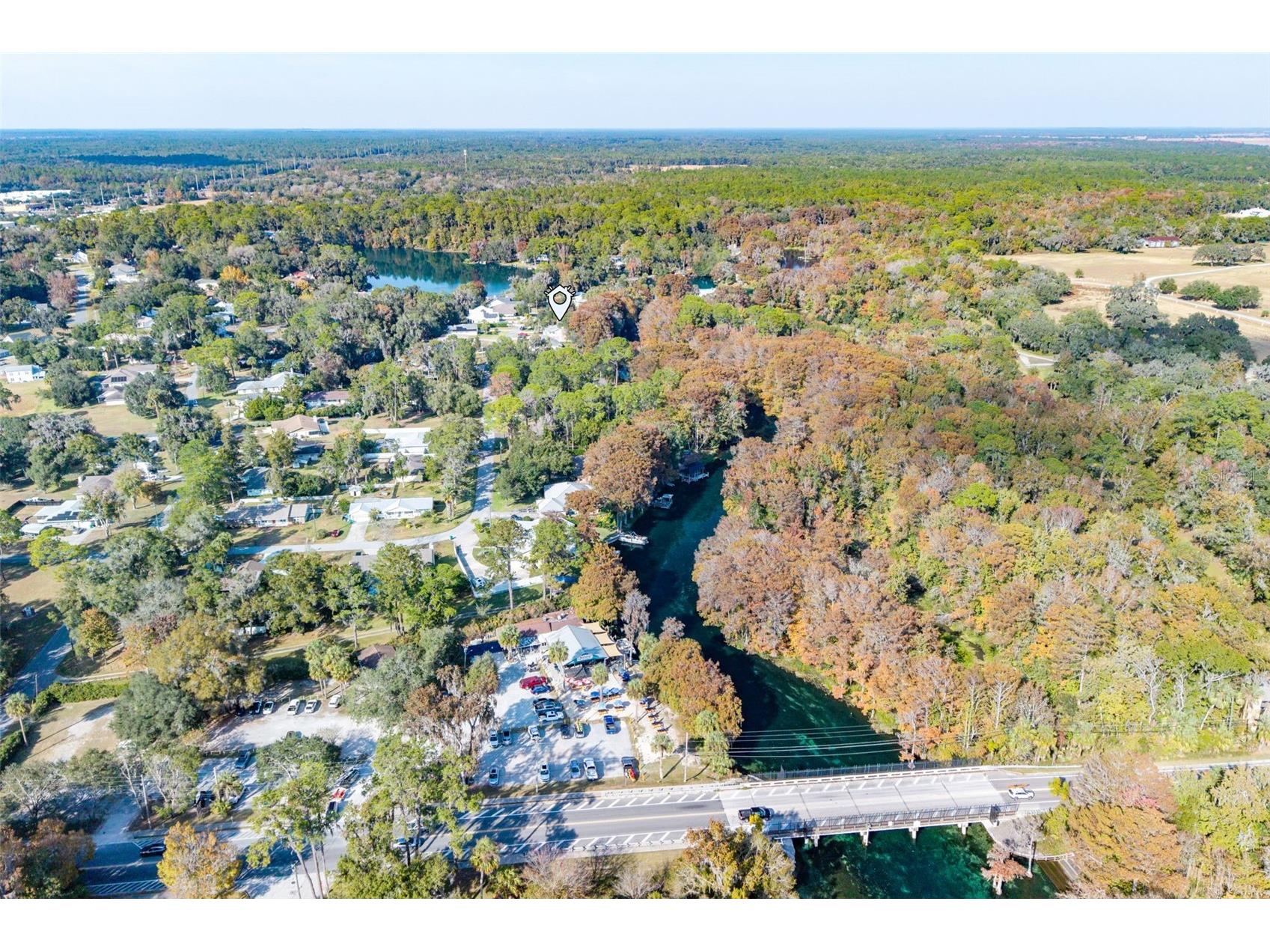 11685 E Blue Cove Drive Dunnellon FL 34432 - RAINBOW RIVER OM715071 image14