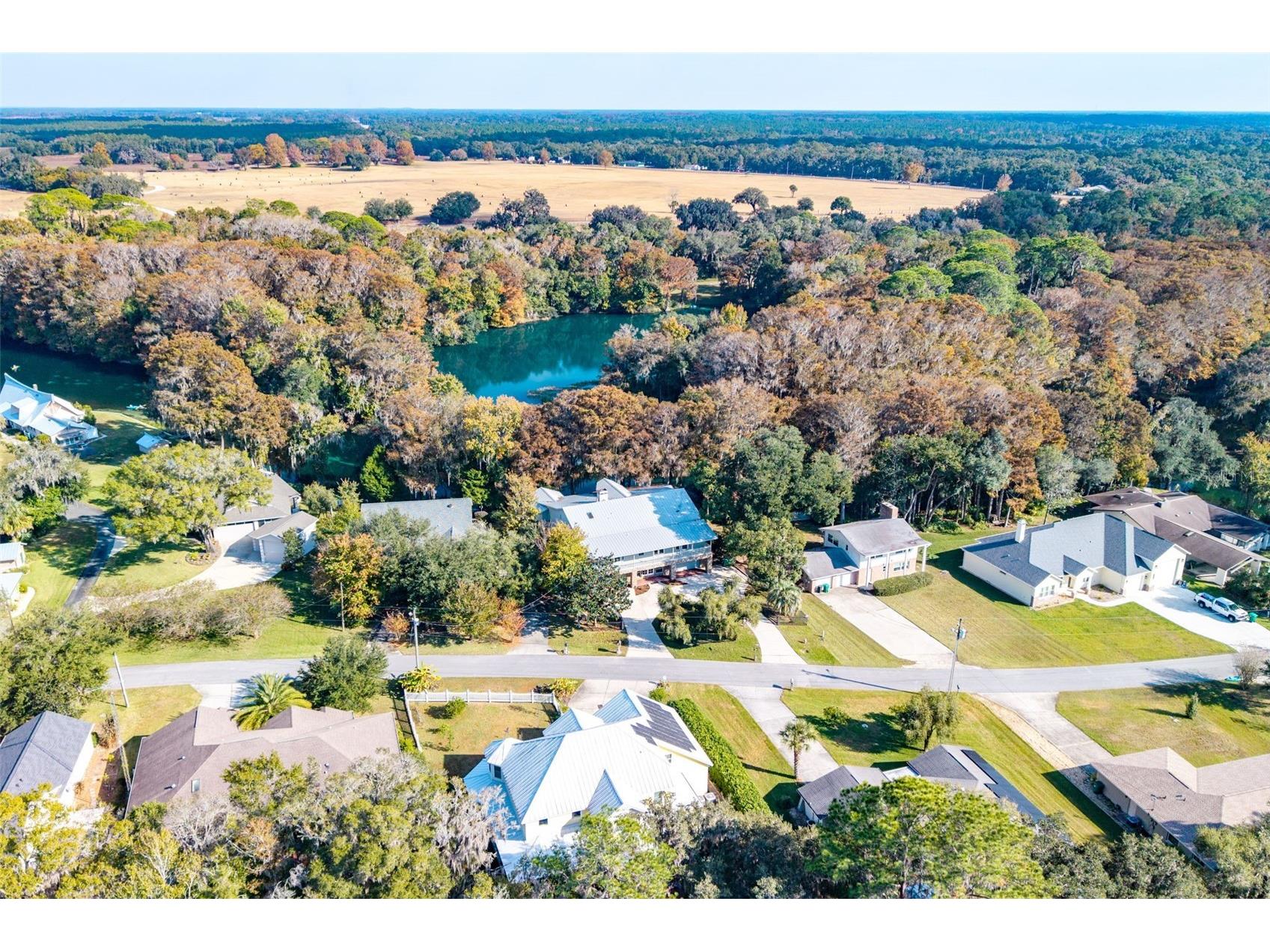 11685 E Blue Cove Drive Dunnellon FL 34432 - RAINBOW RIVER OM715071 image15