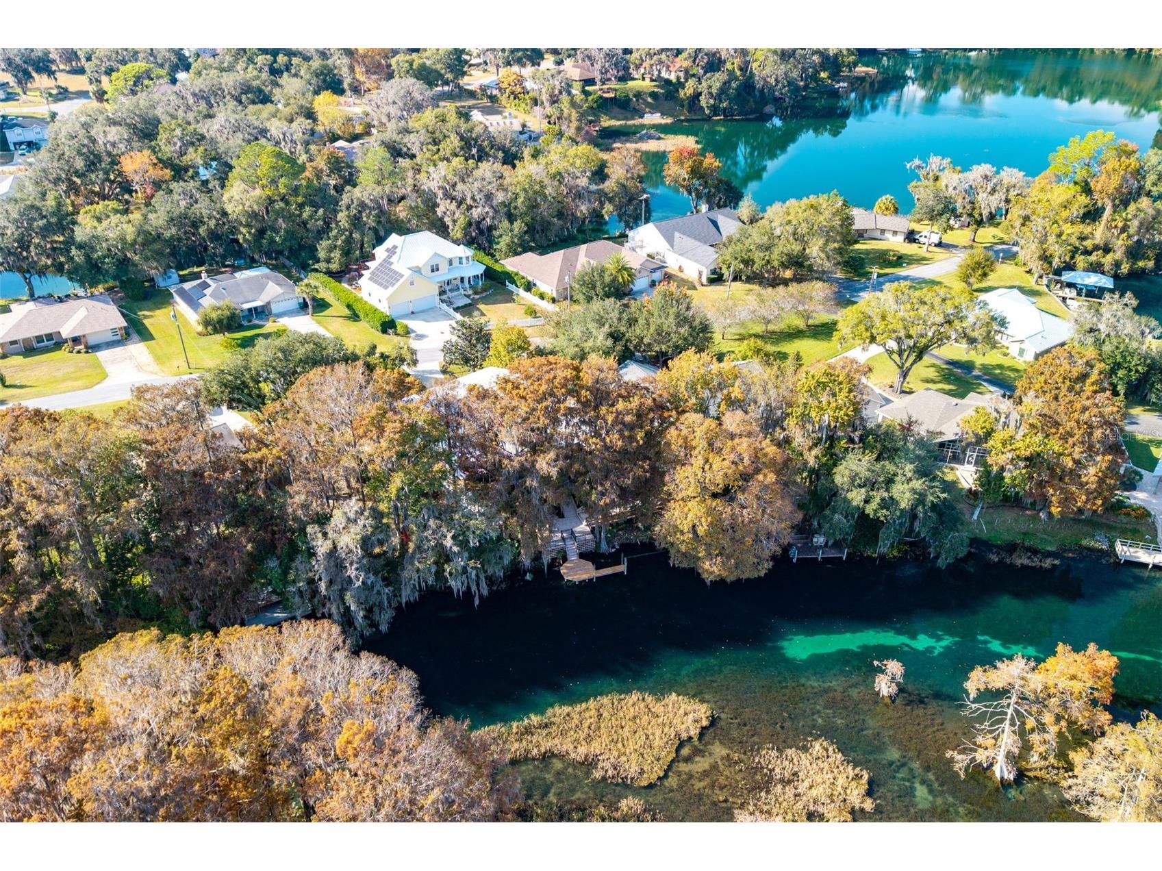 11685 E Blue Cove Drive Dunnellon FL 34432 - RAINBOW RIVER OM715071 image16
