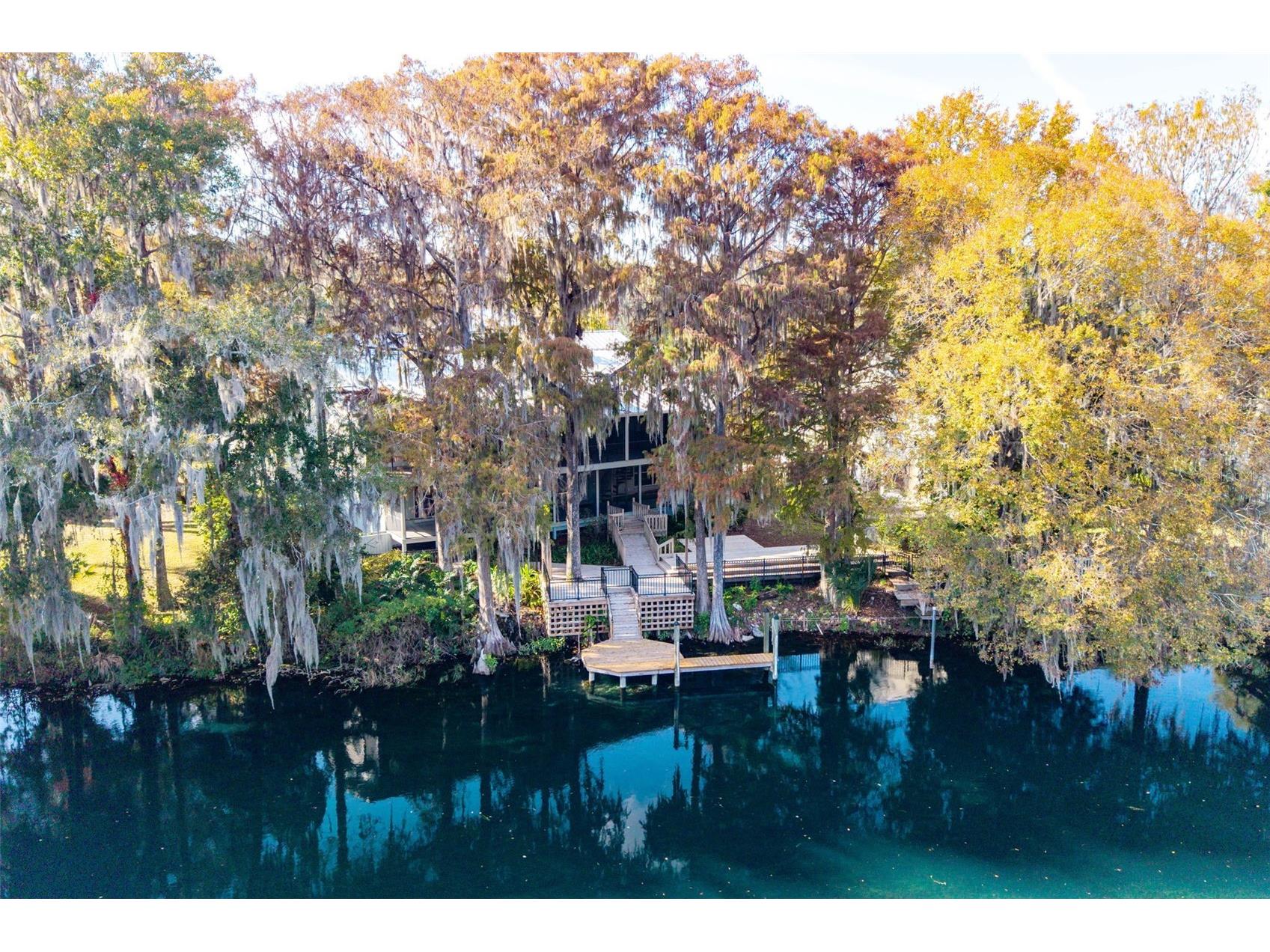 11685 E Blue Cove Drive Dunnellon FL 34432 - RAINBOW RIVER OM715071 image17