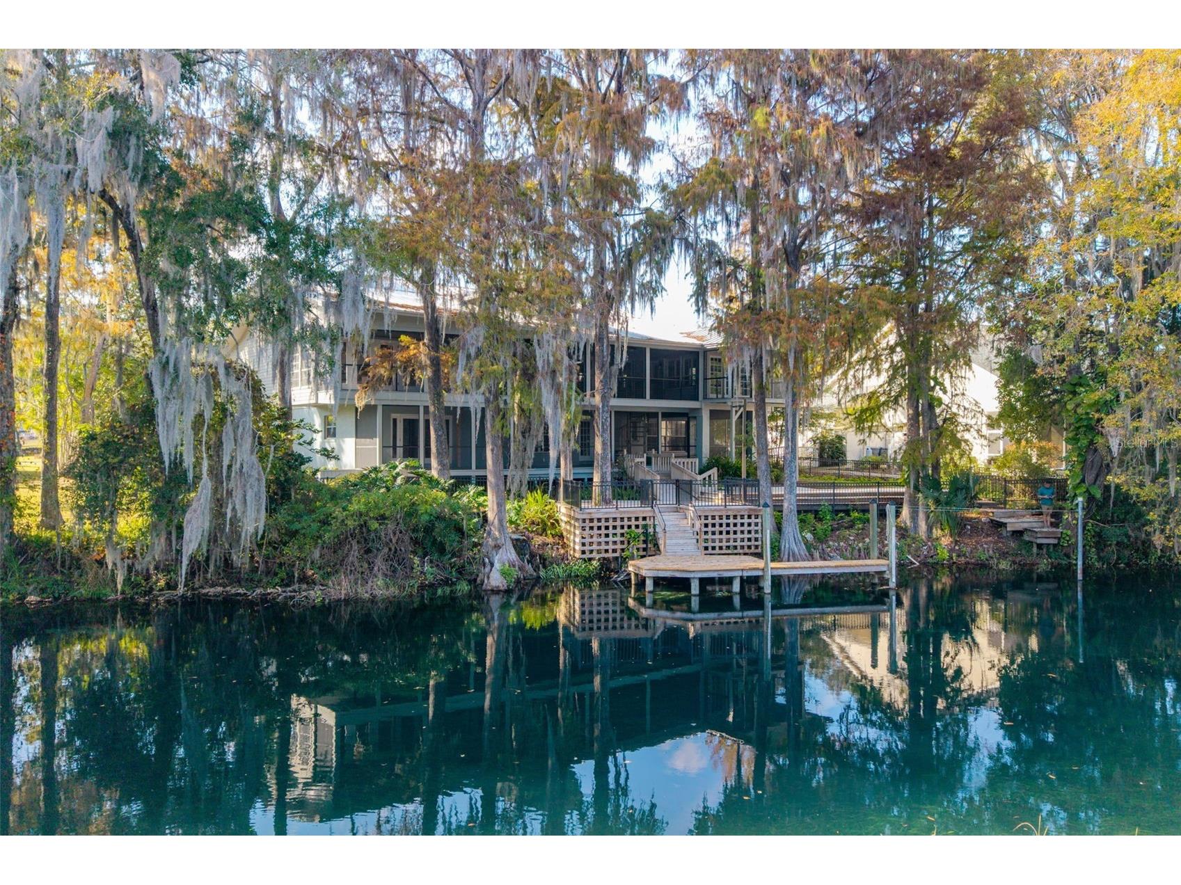 11685 E Blue Cove Drive Dunnellon FL 34432 - RAINBOW RIVER OM715071 image3