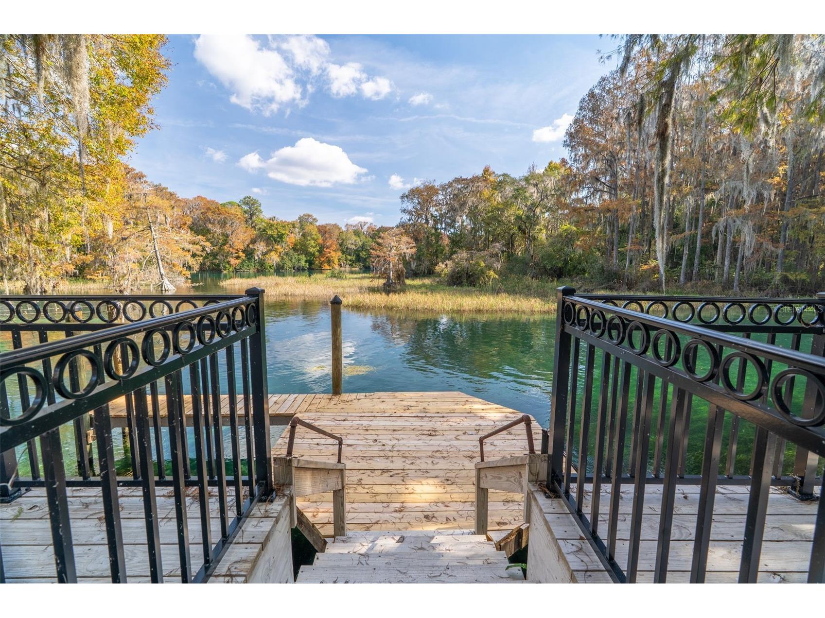 11685 E Blue Cove Drive Dunnellon FL 34432 - RAINBOW RIVER OM715071 image31