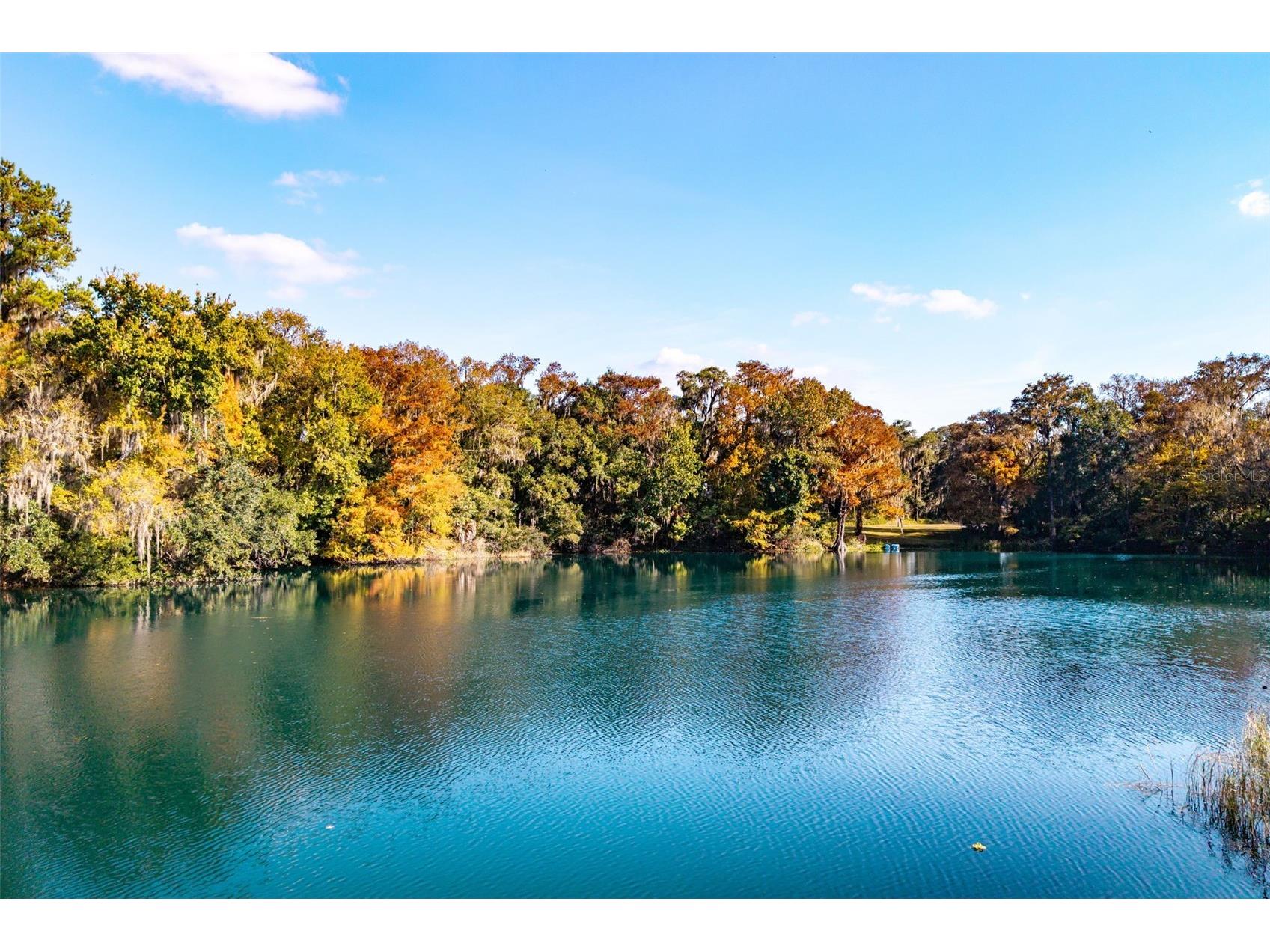 11685 E Blue Cove Drive Dunnellon FL 34432 - RAINBOW RIVER OM715071 image37