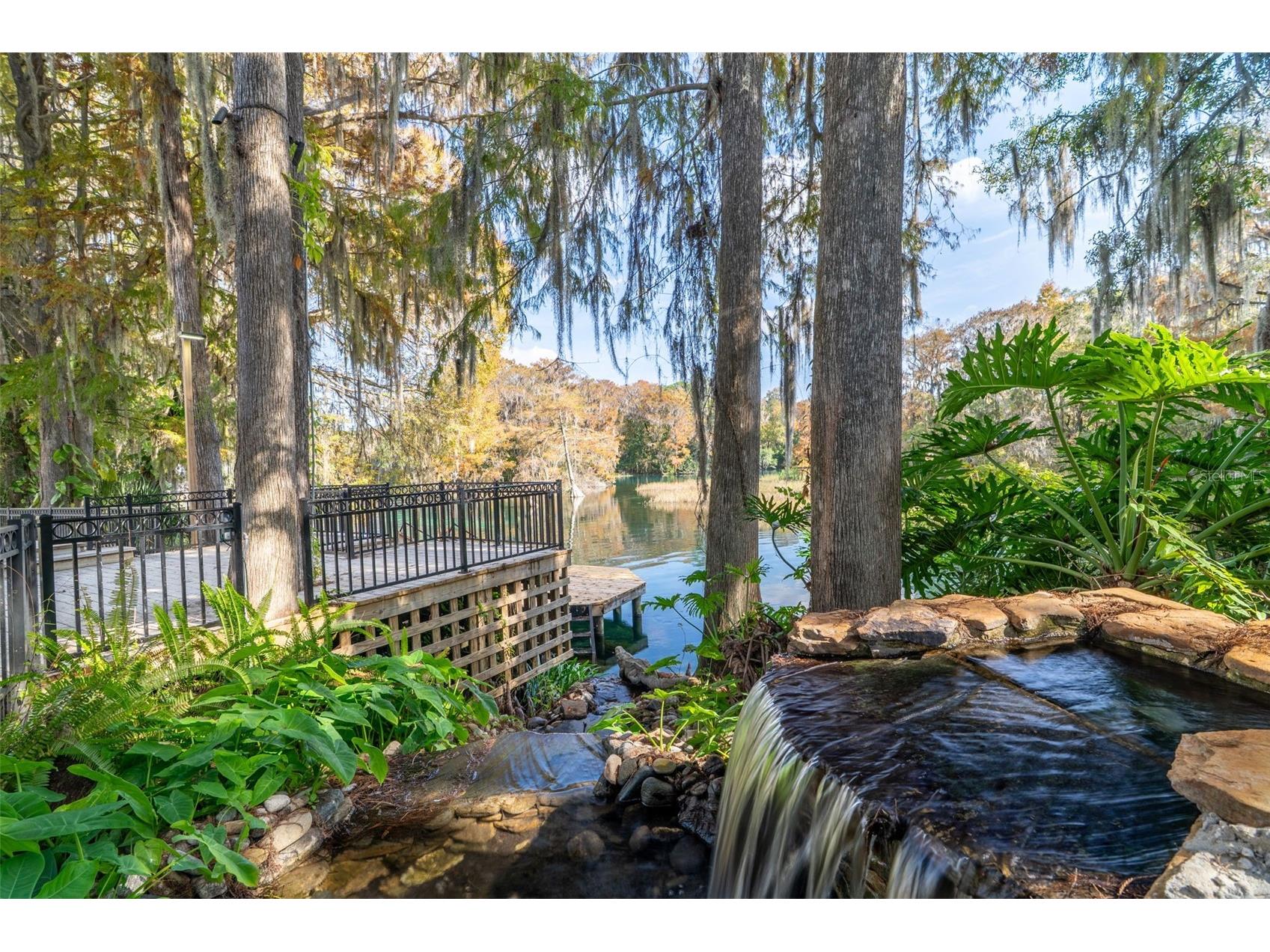 11685 E Blue Cove Drive Dunnellon FL 34432 - RAINBOW RIVER OM715071 image8