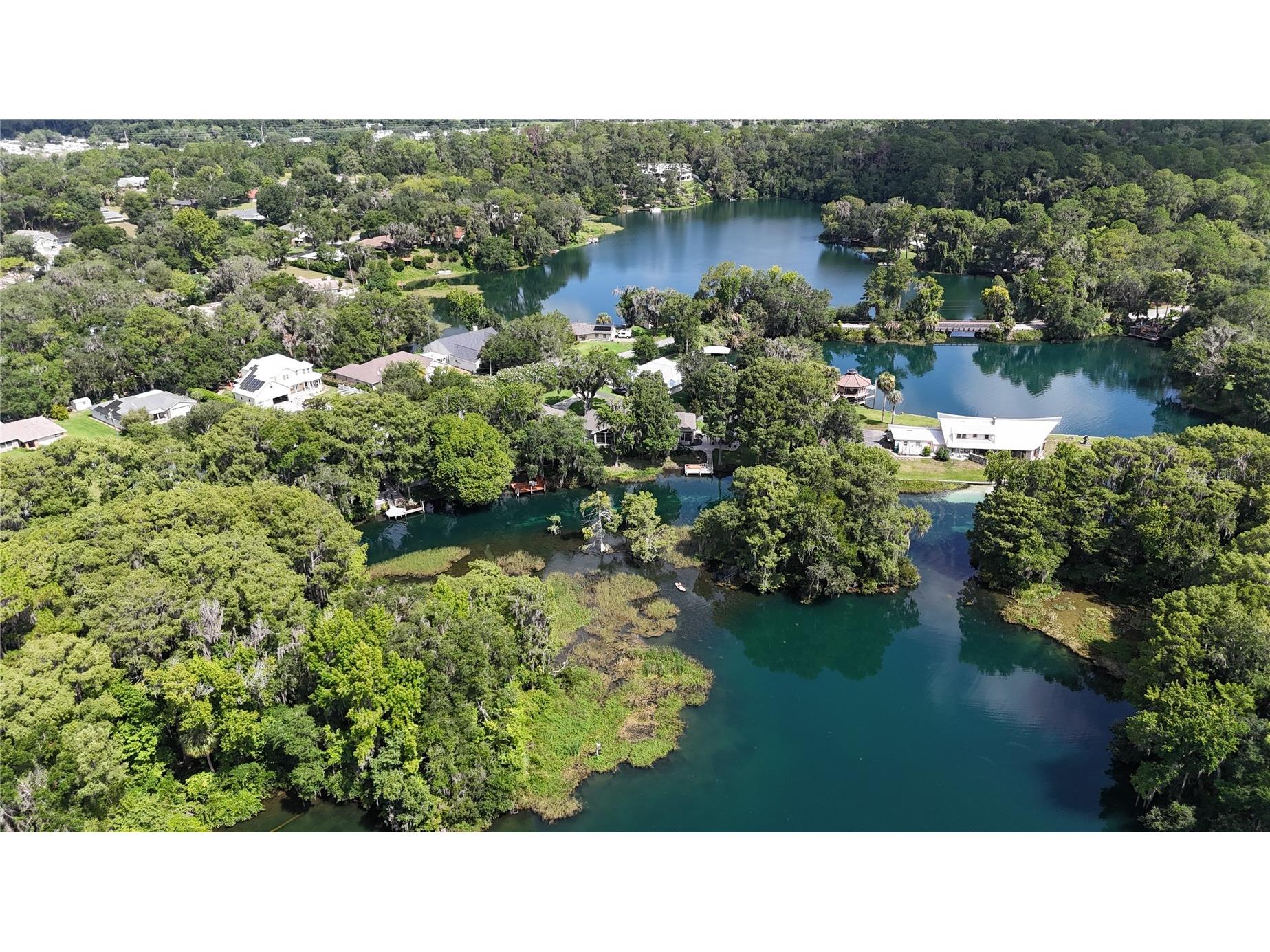 11685 E Blue Cove Drive Dunnellon FL 34432 - RAINBOW RIVER OM728590 image5