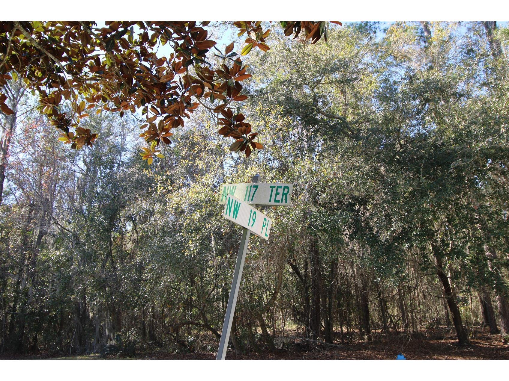 11685 NW 19th Place Gainesville FL 32606 GC536269 image2