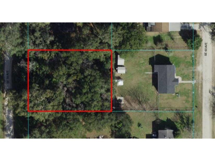 11685 SE 59th Avenue Belleview FL 34420 OM667286 image1