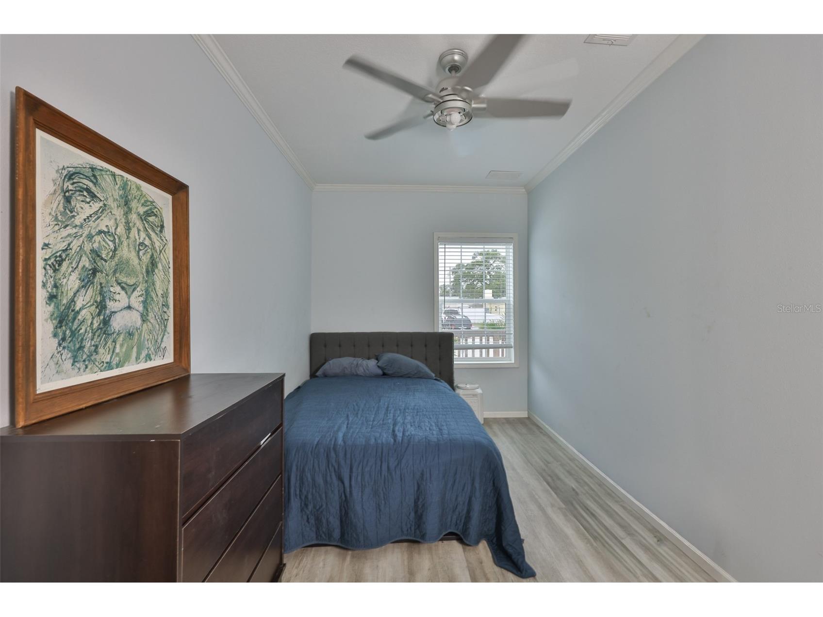 1169 8th Avenue NE Largo FL 33770 TB8518224 image12