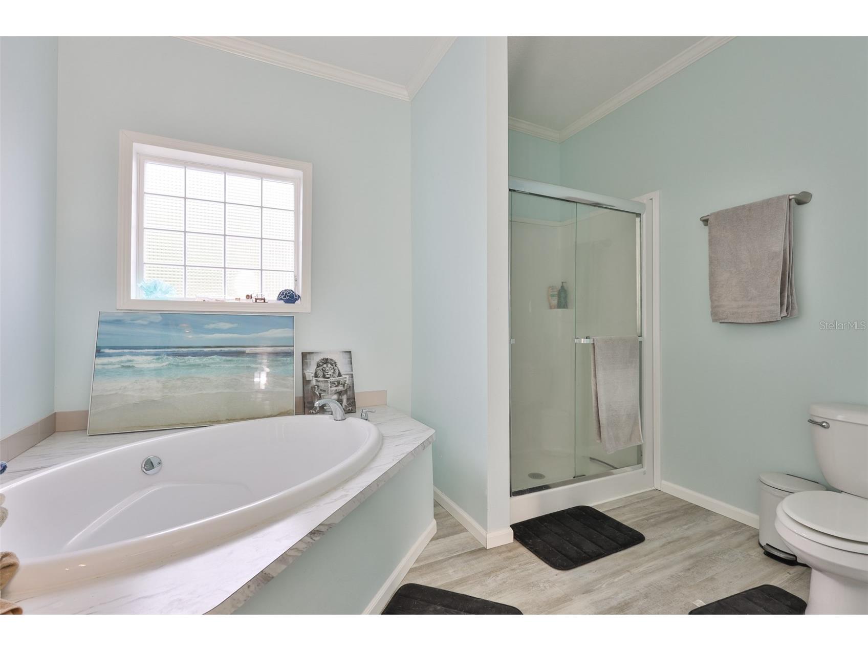 1169 8th Avenue NE Largo FL 33770 TB8518224 image23