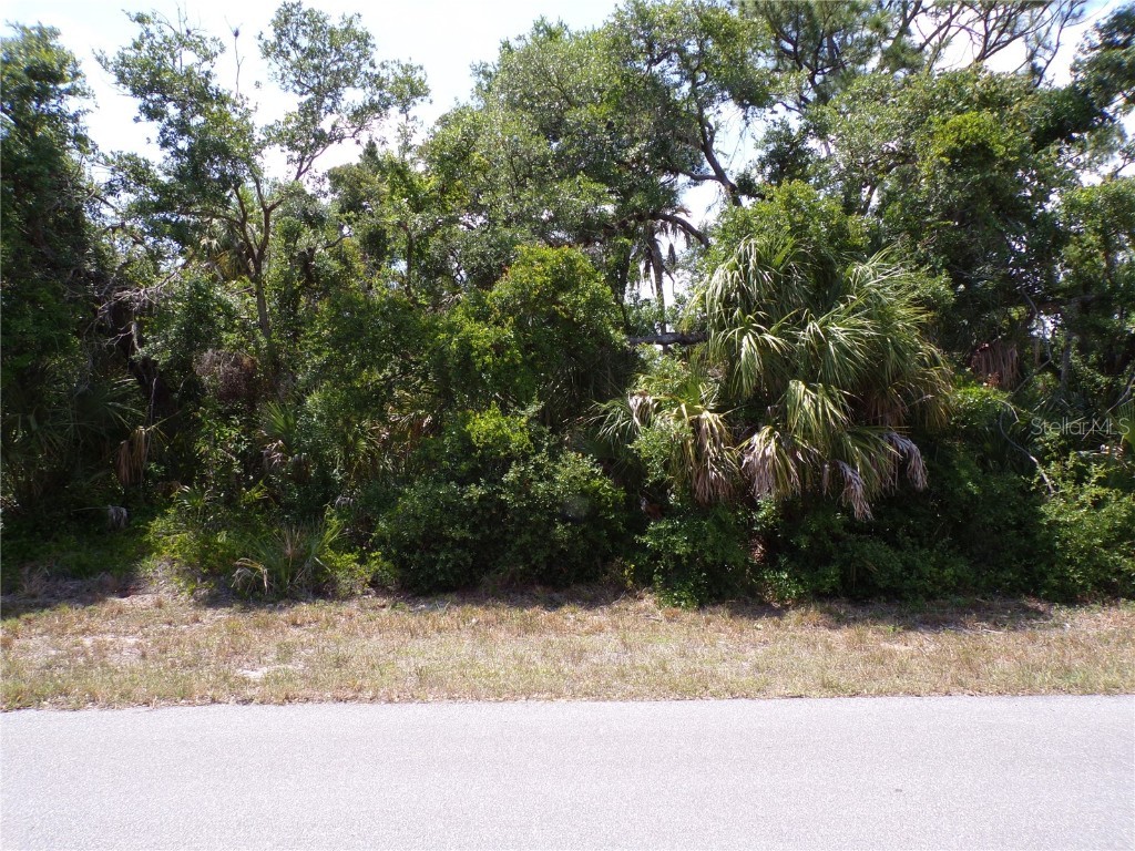 1169 Chalmer Terrace Port Charlotte FL 33953 C7492453 image1