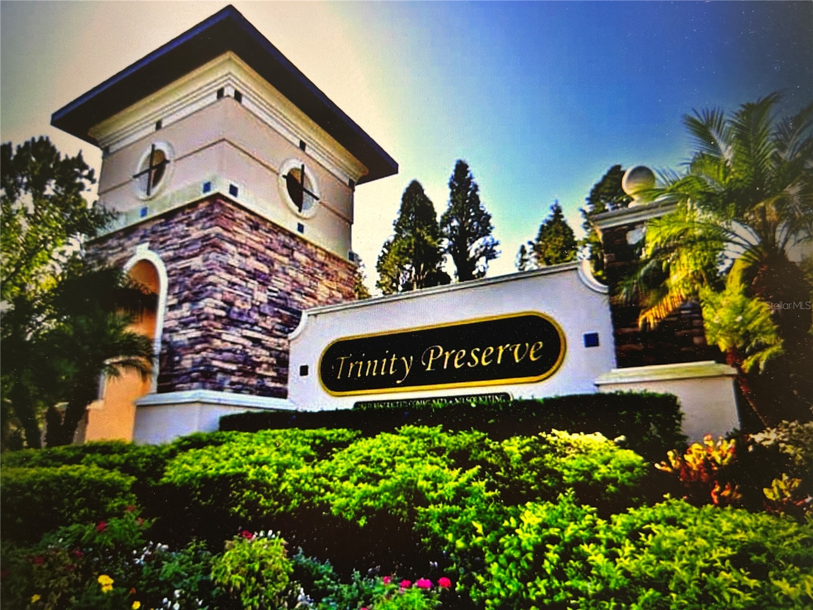 11695 Crestridge Loop New Port Richey FL 34655 W7883446 image11