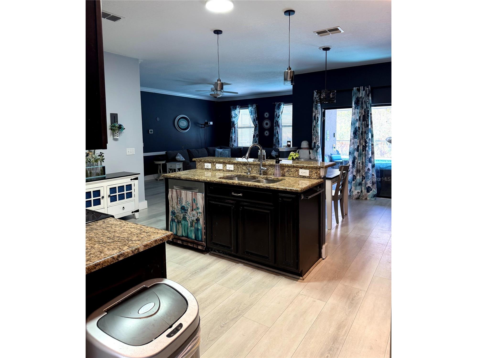 11695 Crestridge Loop New Port Richey FL 34655 W7883446 image4