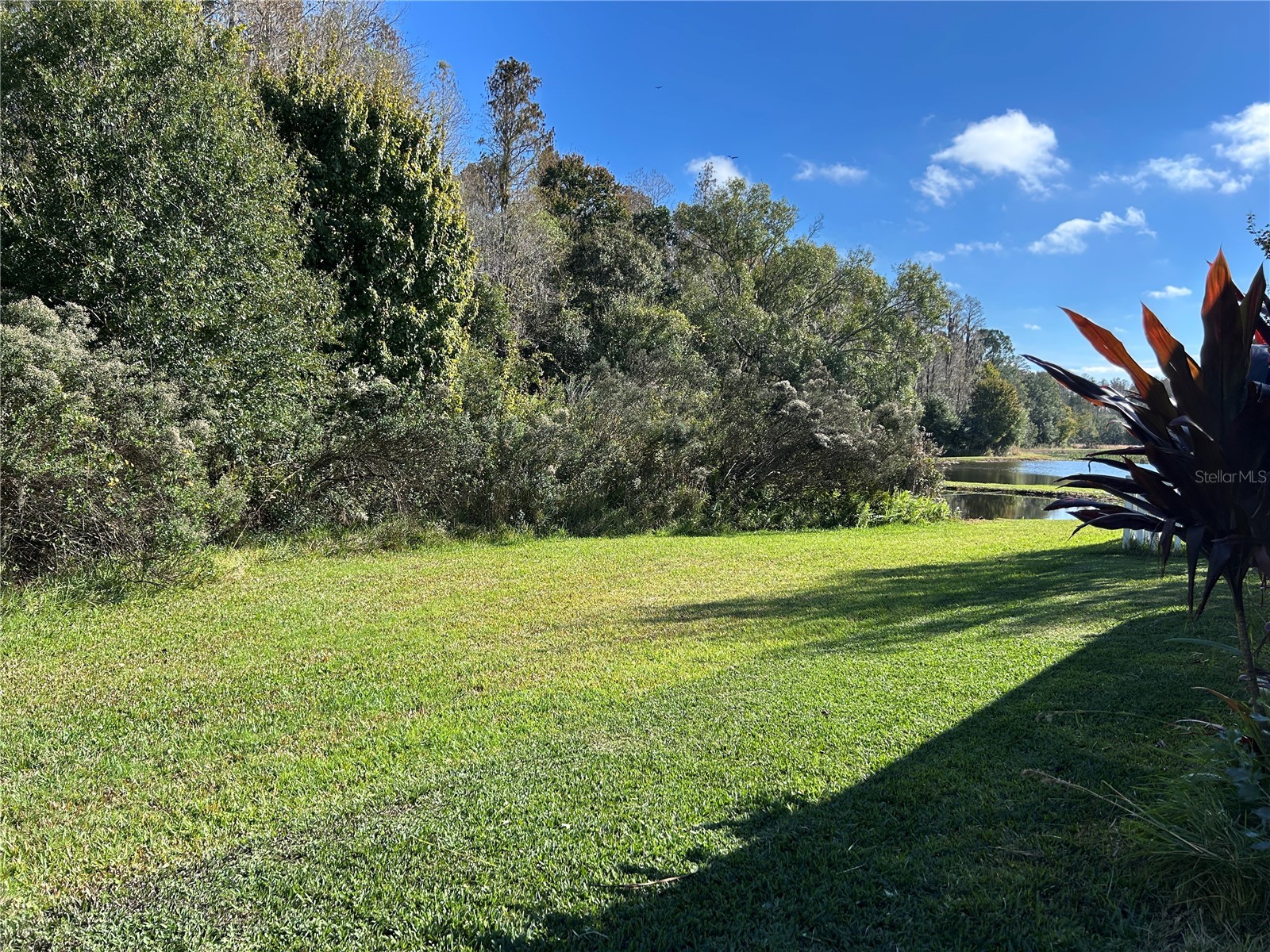 11695 Crestridge Loop New Port Richey FL 34655 W7883446 image6