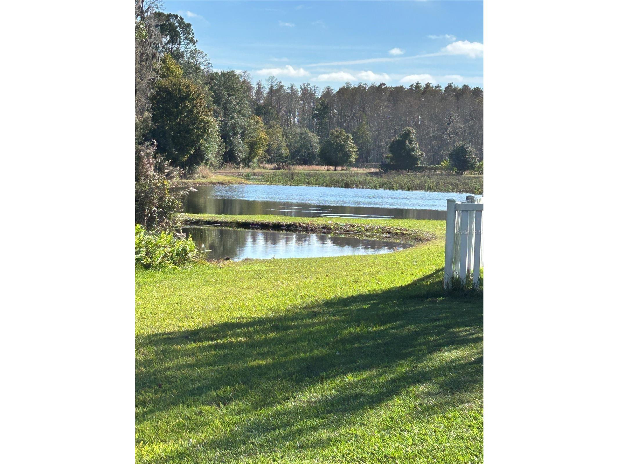 11695 Crestridge Loop New Port Richey FL 34655 W7883446 image7