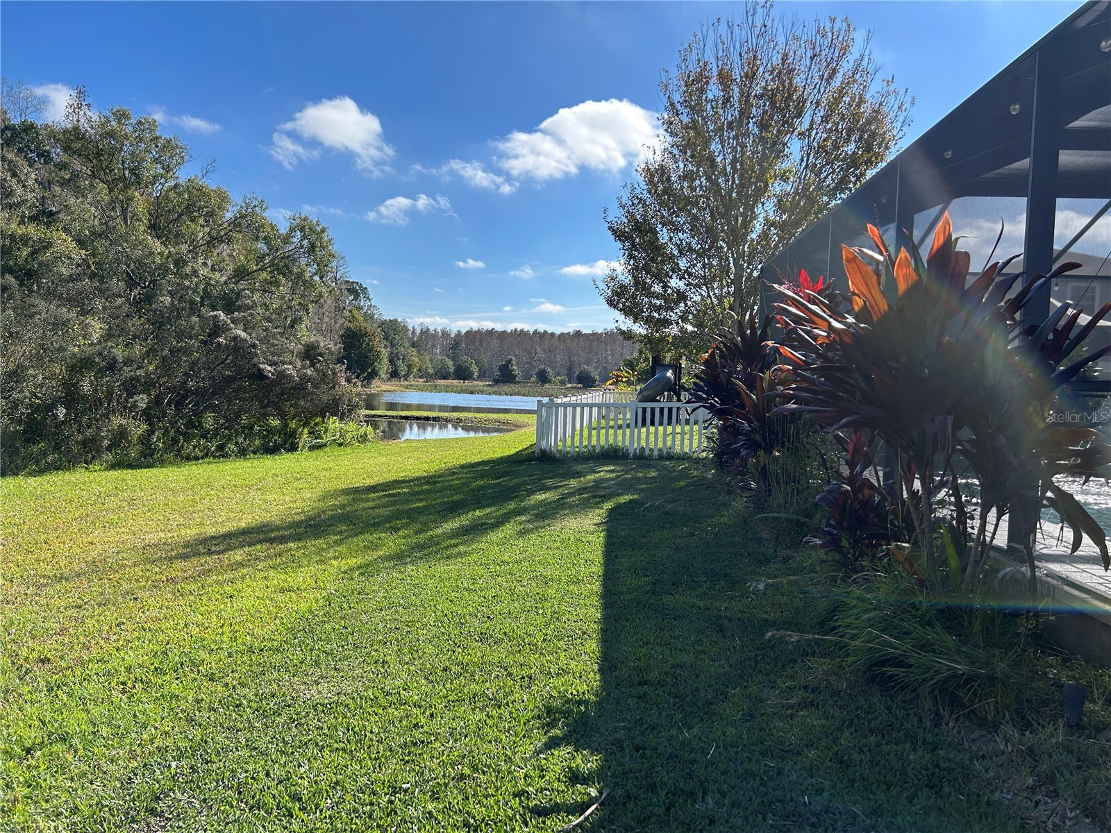 11695 Crestridge Loop New Port Richey FL 34655 W7883446 image8