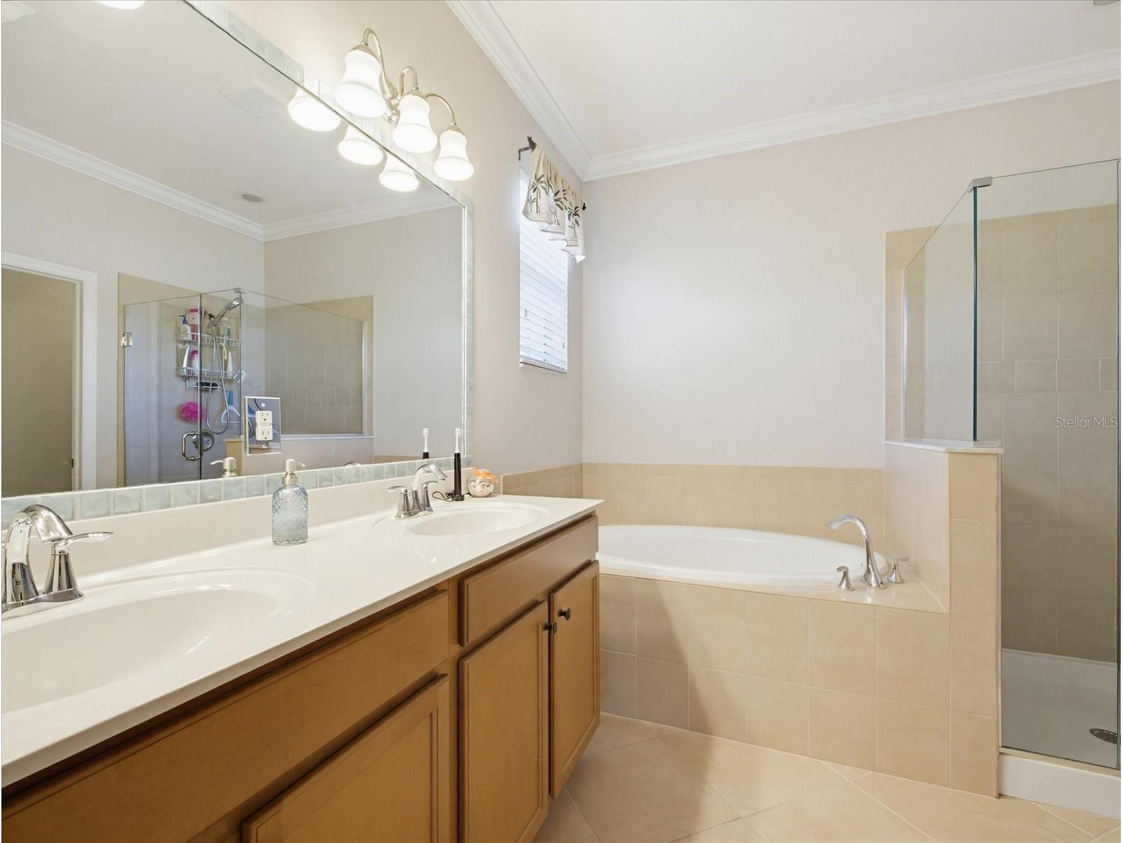 11697 Spotted Margay Avenue Venice FL 34292 N6144162 image17
