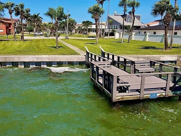 117 15th St Street Belleair Beach FL 33786 TB8421252 image41