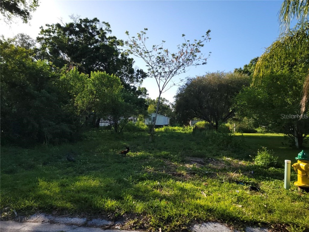 117 4th Street Winter Haven FL 33880 TB8333881 image1