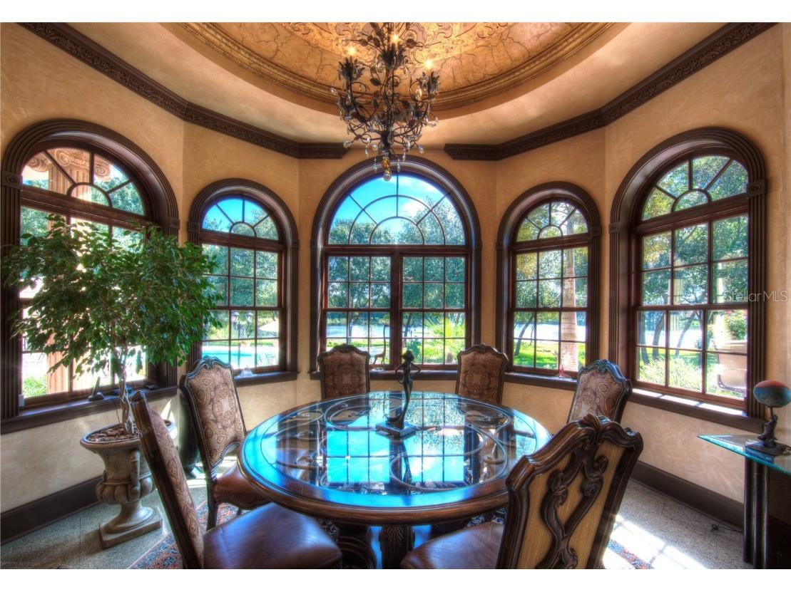 117 Bellamere Palms Court Lutz FL 33549 TB8429681 image14