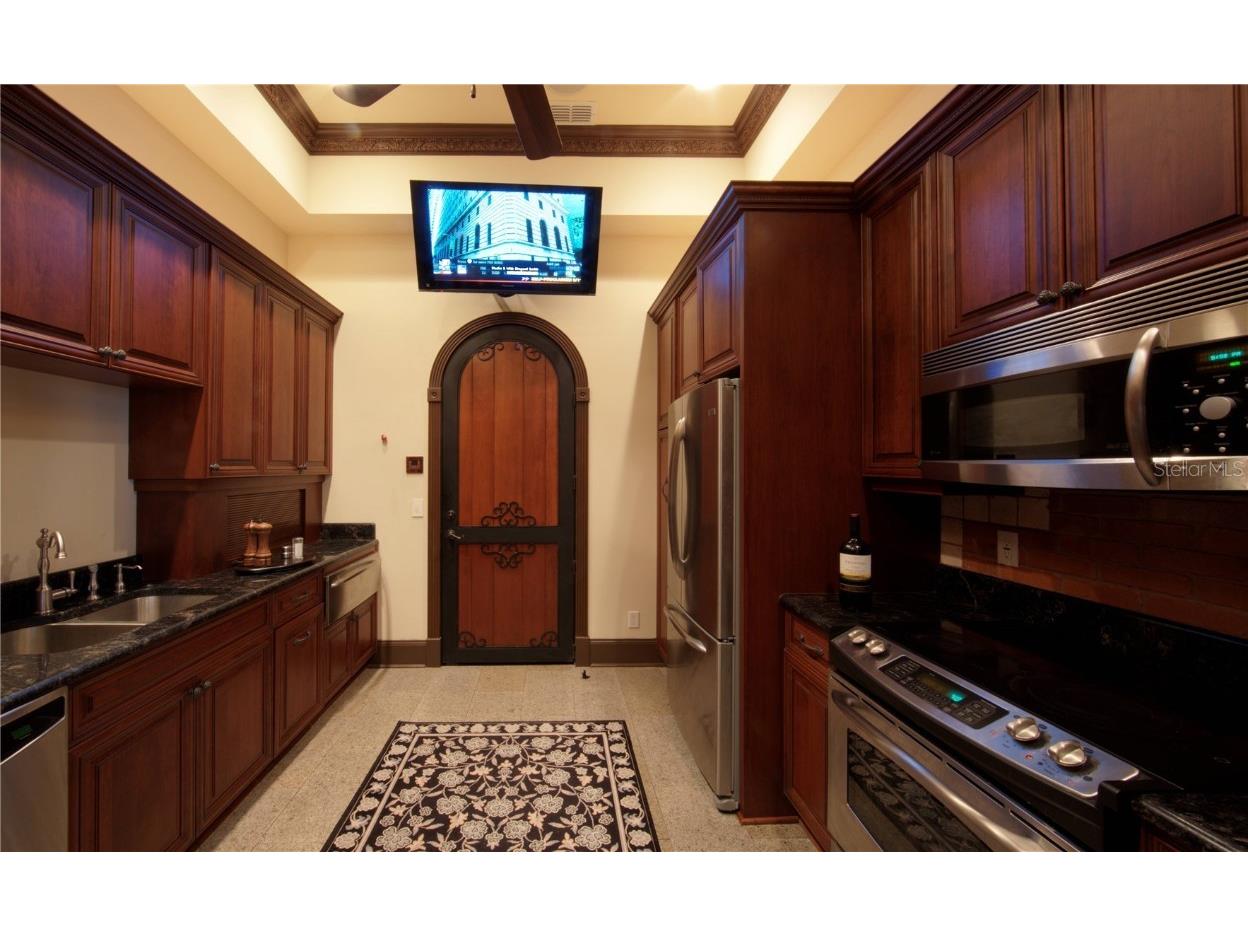 117 Bellamere Palms Court Lutz FL 33549 TB8429681 image16