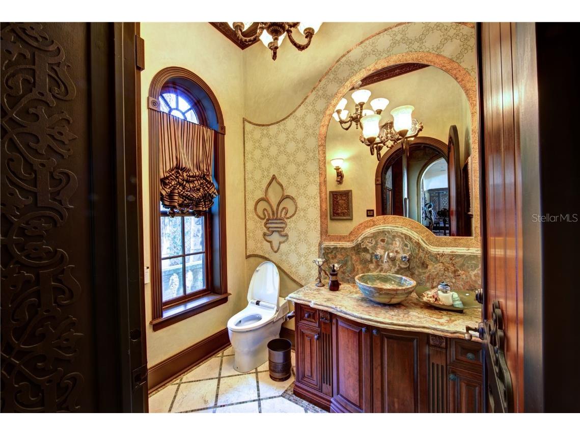 117 Bellamere Palms Court Lutz FL 33549 TB8429681 image22