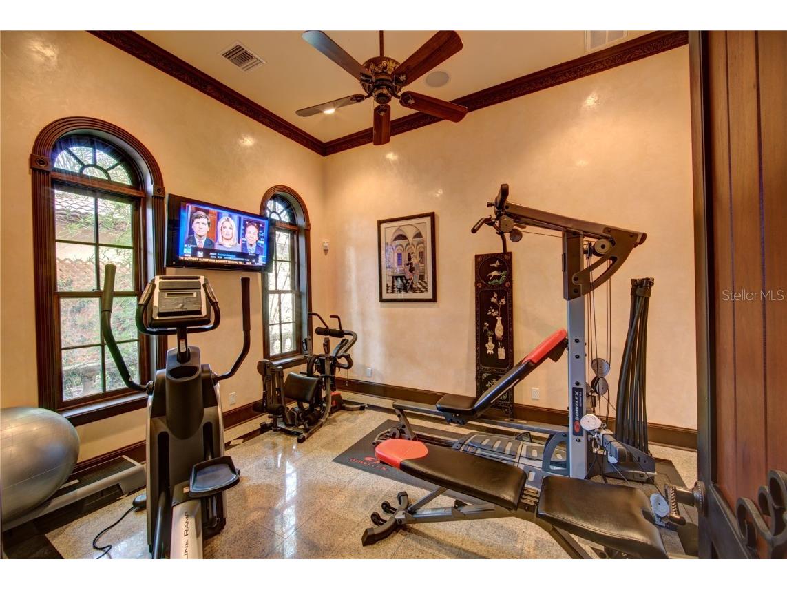 117 Bellamere Palms Court Lutz FL 33549 TB8429681 image26