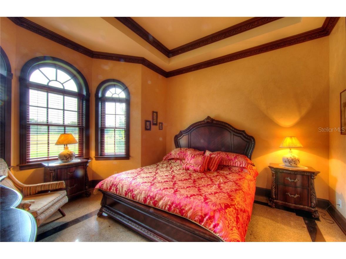 117 Bellamere Palms Court Lutz FL 33549 TB8429681 image27