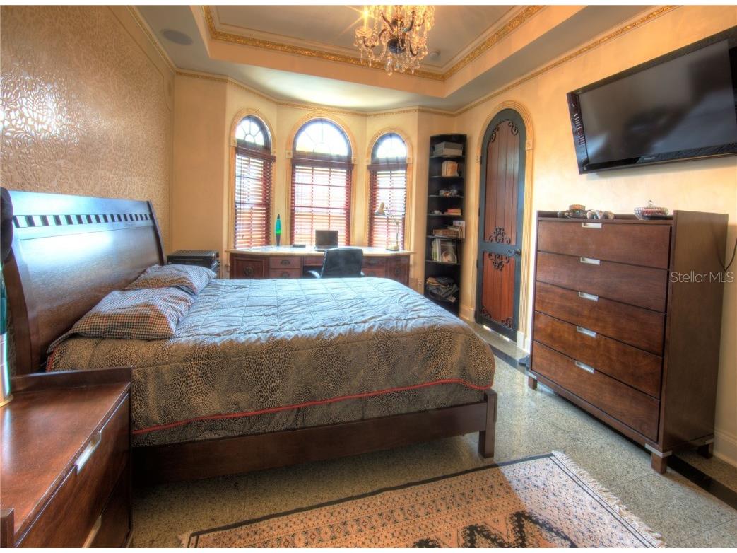 117 Bellamere Palms Court Lutz FL 33549 TB8429681 image28