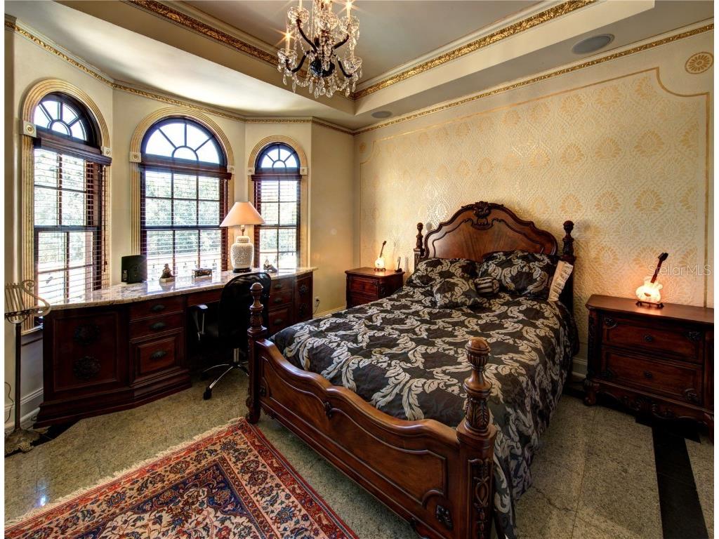 117 Bellamere Palms Court Lutz FL 33549 TB8429681 image30