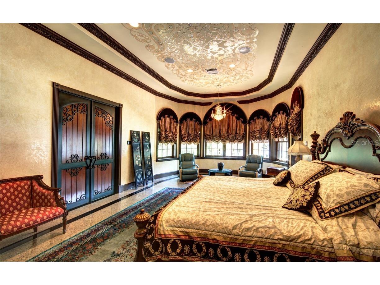 117 Bellamere Palms Court Lutz FL 33549 TB8429681 image32