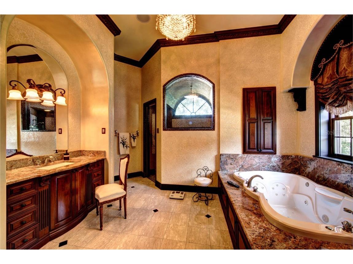 117 Bellamere Palms Court Lutz FL 33549 TB8429681 image33