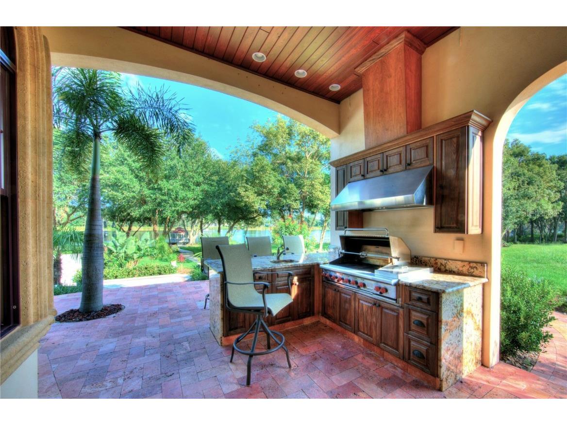 117 Bellamere Palms Court Lutz FL 33549 TB8429681 image36