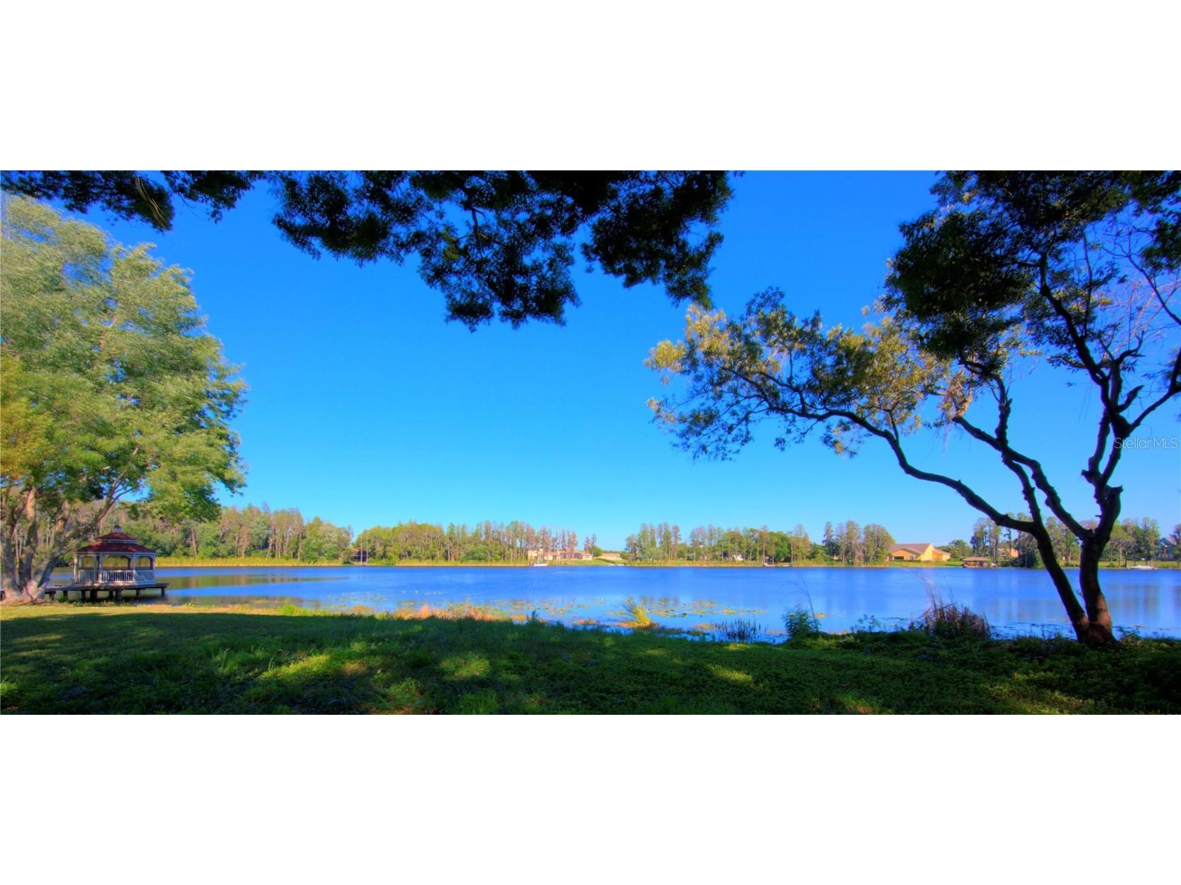 117 Bellamere Palms Court Lutz FL 33549 TB8429681 image38